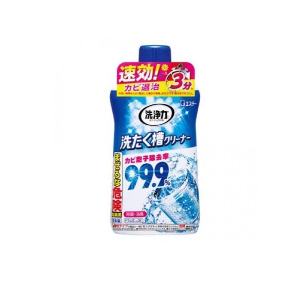 2980円以上で注文可能  洗浄力 洗たく槽クリーナー 550g (1個)