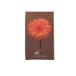 2980円以上で注文可能 カメヤマ 花は咲く フ...の商品画像