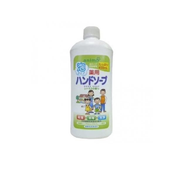 2980円以上で注文可能  詰替用ボトル 薬用泡ハンドソープ シトラス 450mL (1個)