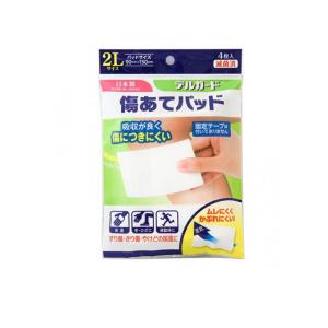 2980円以上で注文可能 デルガード 傷あてパッド 2Lサイズ 4枚入 (90×150mm) (1個)
