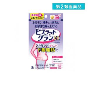 ビスラットグランEX 防風通聖散錠 84錠 (7日分) (1個)  第２類医薬品