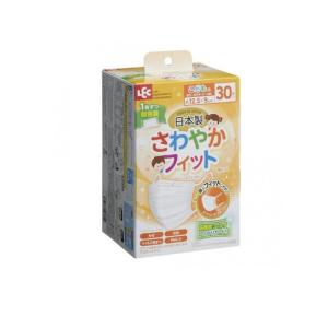 2980円以上で注文可能 レック 日本製 さわや...の商品画像