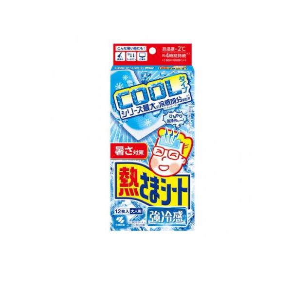 2980円以上で注文可能  熱さまシート 強冷感 大人用 12枚入 (1個)