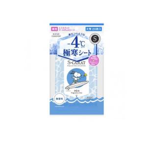 2980円以上で注文可能 S-CARAT エスカラット 薬用デオドラント 大判クールシート 無香料 20枚入 (1個)