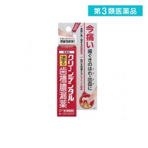 クリーンデンタルN 16g   第3類医薬品