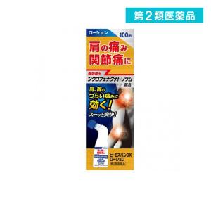 ビーエスバンＤＸローションの商品画像