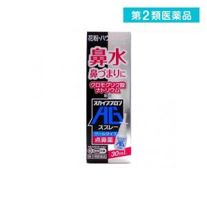 スカイブブロンＡＧスプレーの商品画像