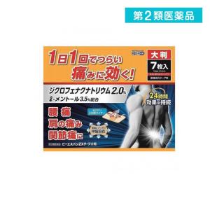 2980円以上で注文可能 第2類医薬品 ビーエス...の商品画像