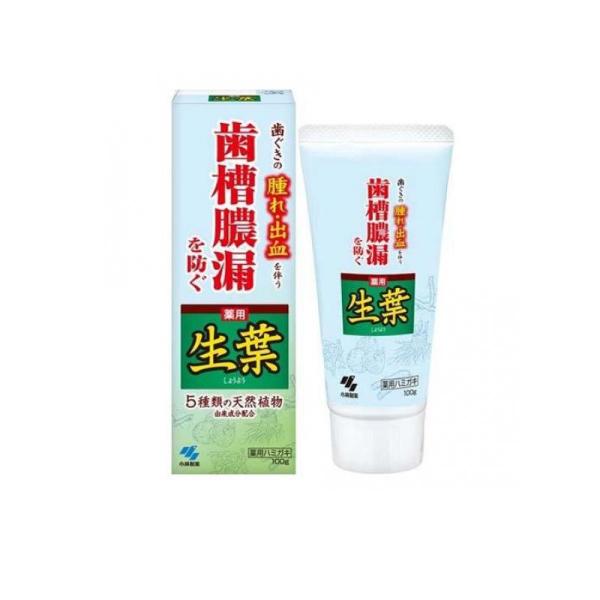 2980円以上で注文可能  生葉(しょうよう) 100g (1個)