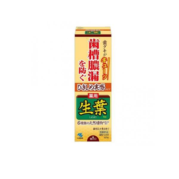 2980円以上で注文可能  ひきしめ生葉(しょうよう)hb 100g (1個)