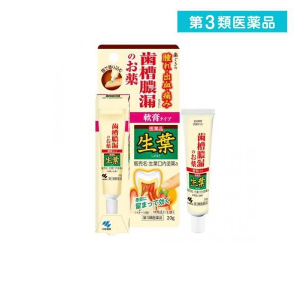 第３類医薬品 生葉口内塗薬 20g 治療軟膏 塗り薬 歯槽膿漏 歯肉炎 歯茎の腫れ 出血 痛み 口内...