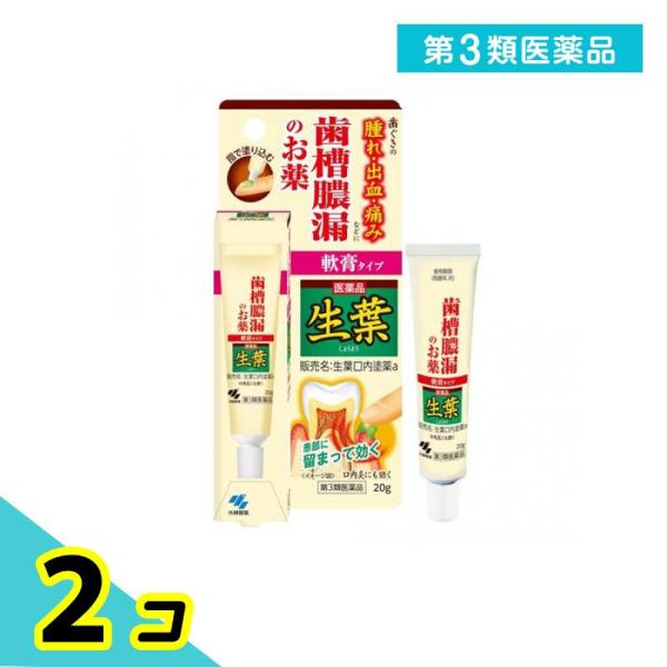 第３類医薬品 生葉口内塗薬 20g 治療軟膏 塗り薬 歯槽膿漏 歯肉炎 歯茎の腫れ 出血 痛み 口内...
