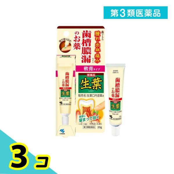 第３類医薬品 生葉口内塗薬 20g 治療軟膏 塗り薬 歯槽膿漏 歯肉炎 歯茎の腫れ 出血 痛み 口内...