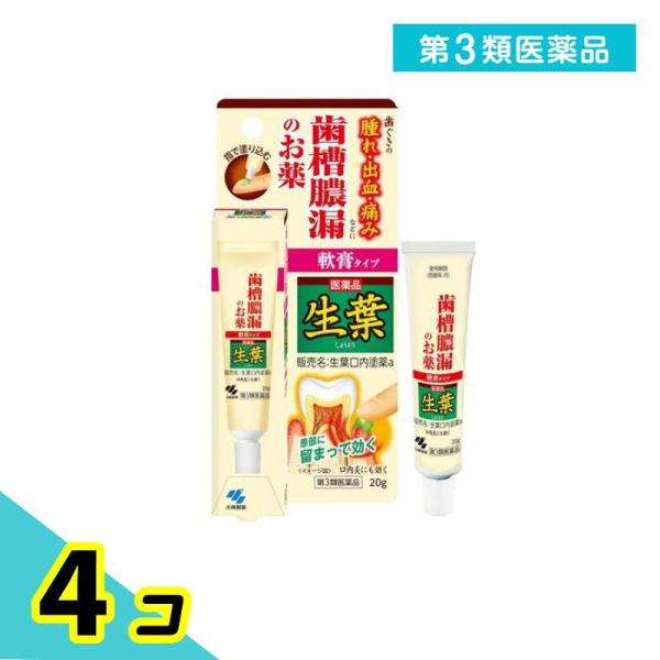 第３類医薬品 生葉口内塗薬 20g 治療軟膏 塗り薬 歯槽膿漏 歯肉炎 歯茎の腫れ 出血 痛み 口内...