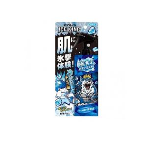 アイスノン ICE KING アイスキング 極冷...の商品画像