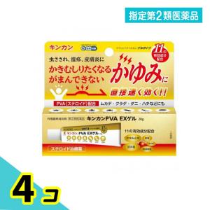 キンカンＰＶＡＥＸゲルの商品画像