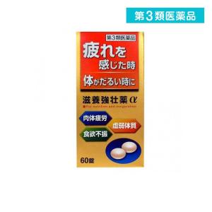 体がだるい 薬の商品一覧 通販 Yahoo ショッピング