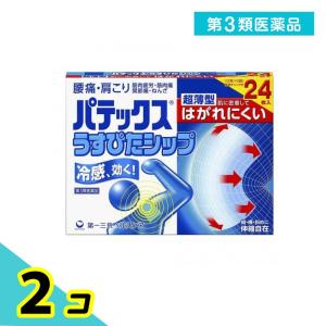 パテックス うすぴたシップ 24枚 2個セット  第３類医薬品