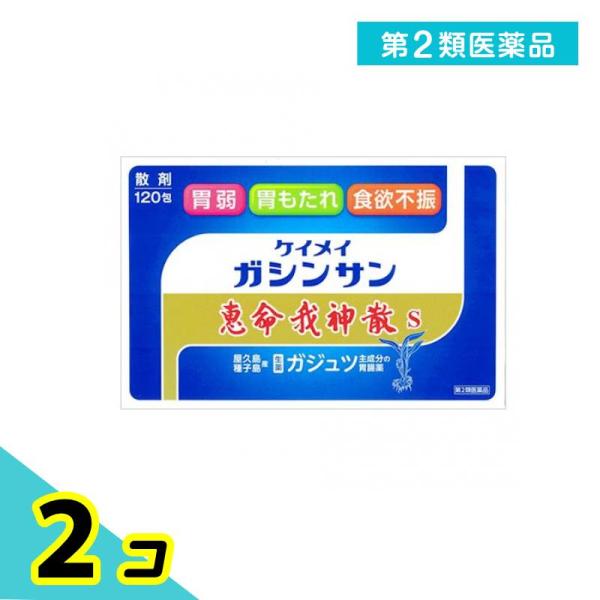 第２類医薬品恵命我神散 S 散剤タイプ 120包 胃薬 食欲不振 消化不良 2個セット