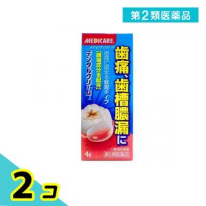 第２類医薬品 デンタルクリームT 4g 痛み止め 塗り薬 軟膏 歯槽膿漏 歯肉炎 歯痛 虫歯 口内炎 口角炎 子供 市販 2個セット