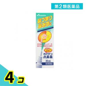 第2類医薬品 カイゲン点鼻薬 30mL 鼻炎スプ...の商品画像