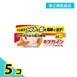 第２類医薬品 キズカイン 15g 傷薬 かゆみのある傷 ノンステロイド 5個セット｜みんなのお薬プレミアム(みんなのお薬)
