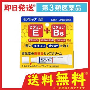 モアリップ 8g 唇荒れ 薬 リップクリーム ひび割れ 口角炎