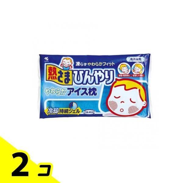 熱さまひんやり やわらかアイス枕 1000g 2個セット
