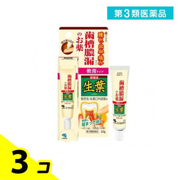 第３類医薬品 生葉口内塗薬 20g 治療軟膏 塗り薬 歯槽膿漏 歯肉炎 歯茎の腫れ 出血 痛み 口内...