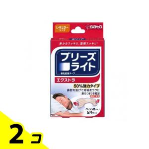 ブリーズライト エクストラ ベージュ色タイプ レギュラーサイズ 24枚 2個セット