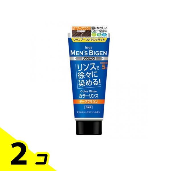 メンズビゲン カラーリンス ダークブラウン 160g 2個セット