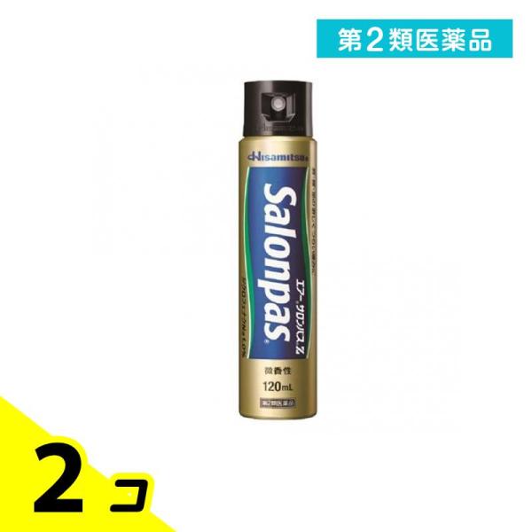 第２類医薬品エアーサロンパスZ 120mL 2個セット