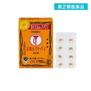 大幸薬品 正露丸クイックC 胃腸薬 16カプセル (1個)  第２類医薬品