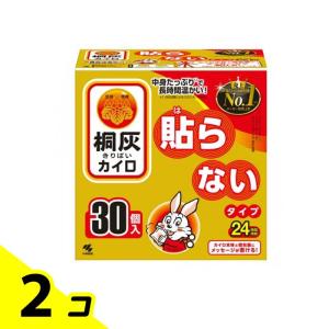 桐灰カイロ 貼らないタイプ レギュラー 24時間持続 30個入 2個セット