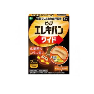 ピップエレキバンワイド 6枚入 (1個)の商品画像