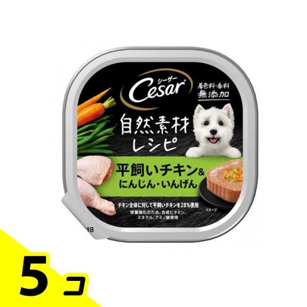 シーザー トレイ 自然素材レシピ 平飼いチキン&amp;にんじん・いんげん 85g 5個セット