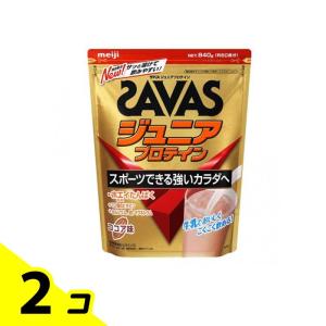 ☆数量限定☆ RIZAP/ライザップ MUSCLE PRO マッスルプロ チョコレート