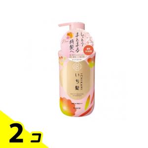 いち髪 濃密W保湿ケアシャンプー 本体ボトル 450mL 2個セット