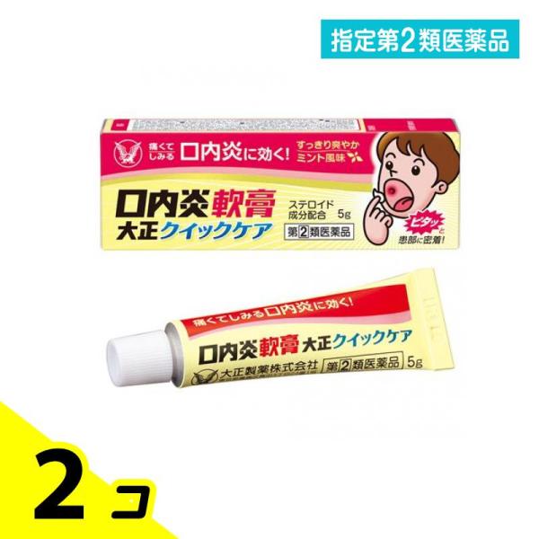 指定第２類医薬品 口内炎軟膏大正クイックケア 5g 2個セット