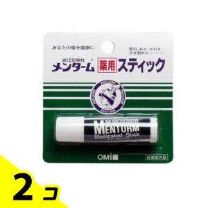 リップ 唇 ケア 定番 ロングセラー メンターム 薬用スティック レギュラー 4g 2個セット