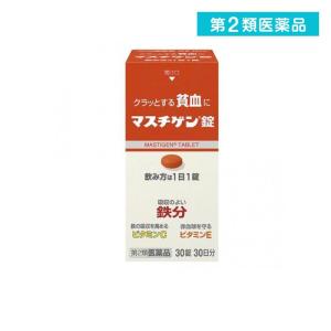 マスチゲン錠 30錠 飲み薬 貧血 鉄分補給 ビタミン剤