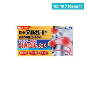 鼻炎薬 おすすめのランキングtop100 人気売れ筋ランキング Yahoo ショッピング