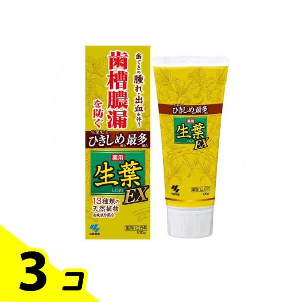 歯磨き粉 歯槽膿漏 歯茎 虫歯 口臭 生葉(しょうよう)EX 100g 3個セット