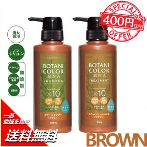 Mottoボタニカラーシャンプー300m＆トリートメント300g ポンプ式 セット【ブラウン】