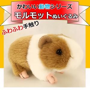 ピュアふわフレンズ モルモット(S) ぬいぐるみ  全長17cm 9jupf8b ぬいぐるみ ピュアふわフレンズ モルモット Sサイズ 誕生日
