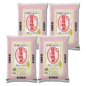 米 お米 胚芽精米 20kg （5kg×4） ハツシモ　岐阜県産　令和5年産　｜minoriceshop