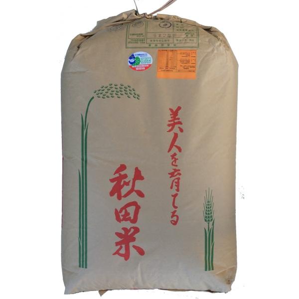 米 お米 玄米 30kg 淡雪こまち 秋田県産 特別栽培米 検査1等 令和5年産 玄米 送料無料　