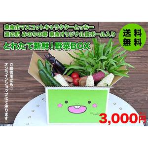 野菜詰め合わせ 道の駅 みのりの郷東金 とれたて新鮮野菜BOX オリジナル段ボールでお届け とっちー