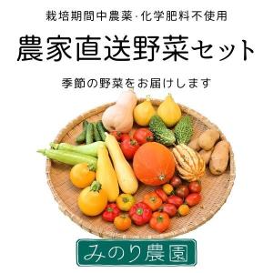 【送料込み】農家直送野菜セット　Mサイズ　栽培期間中農薬・化学肥料不使用