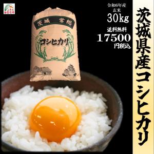 令和５年産 茨城県産 コシヒカリ 玄米30kgうまい米 米専門 みのりや ポイント消化 送料無料｜うまい米!米専門みのりや